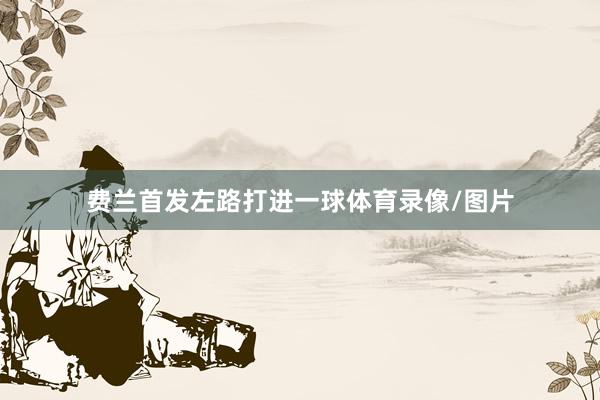 费兰首发左路打进一球体育录像/图片