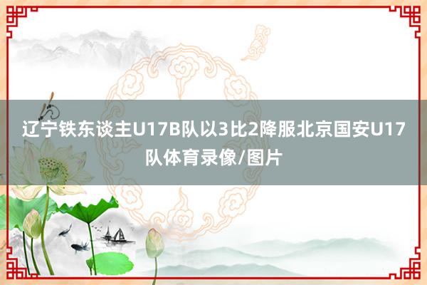 辽宁铁东谈主U17B队以3比2降服北京国安U17队体育录像/图片