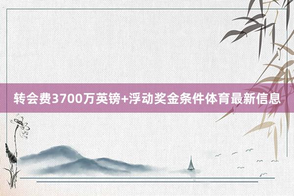 转会费3700万英镑+浮动奖金条件体育最新信息