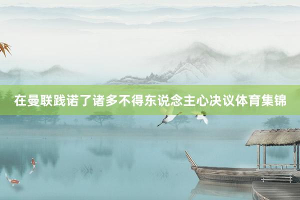 在曼联践诺了诸多不得东说念主心决议体育集锦