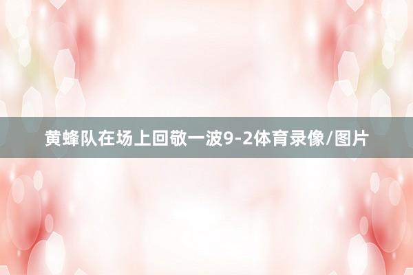 黄蜂队在场上回敬一波9-2体育录像/图片