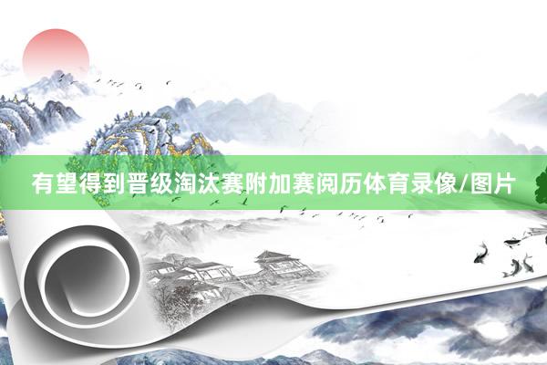 有望得到晋级淘汰赛附加赛阅历体育录像/图片