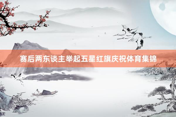 赛后两东谈主举起五星红旗庆祝体育集锦
