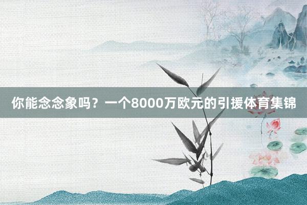 你能念念象吗?一个8000万欧元的引援体育集锦