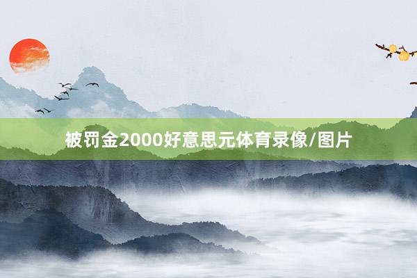 被罚金2000好意思元体育录像/图片