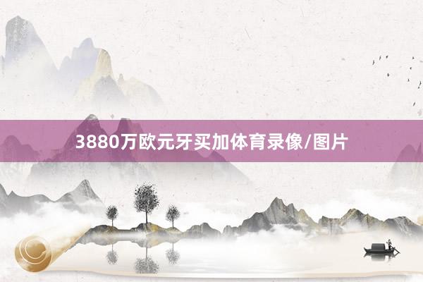 3880万欧元牙买加体育录像/图片